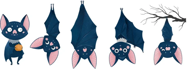 Chauve Souris Halloween Carte Mignonne Dessin Main Illustration — Photo