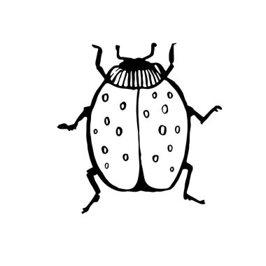 mürekkep çizimi vektör böceği, el çizimi siluet çizimi