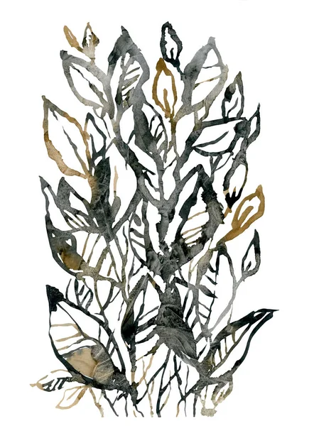 Abstrakcyjne Tło Czarne Rośliny Gałęzie Kwiatów Rysunek Akwarela Ilustracja — Zdjęcie stockowe