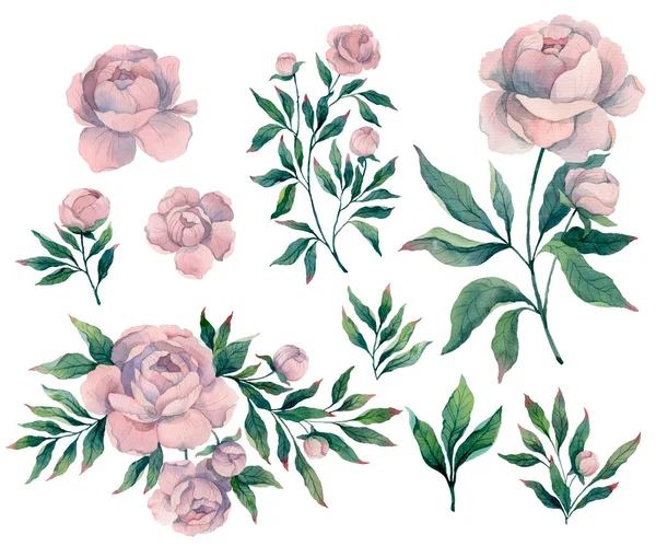 Różowy Bukiet Piwonia Kwiat Liście Rysunek Akwarela Ilustracja Ręka Rysunek — Zdjęcie stockowe