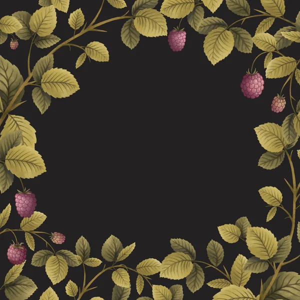 Малиновое Растение Листья Ветви Ягоды Рамка Шаблон Рисунок — стоковое фото