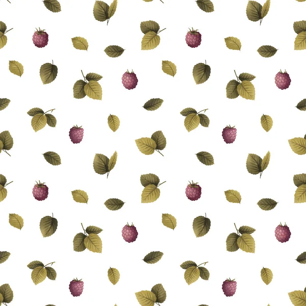 raspberry plant, branch in leaves and berries, seamless pattern, drawing