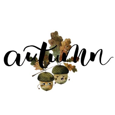 Sonbahar meşe palamutları meşe yapraklı bir dalda savaşır. suluboya resimleme, harfler