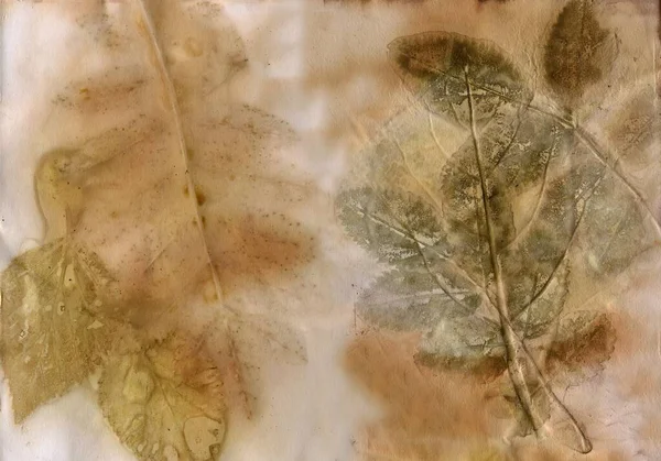 Φύλλα Κοπριάς Αποτύπωμα Αληθινού Εργοστασίου Χαρτί Βίντατζ Φόντο Φυσικό Χρώμα — Φωτογραφία Αρχείου