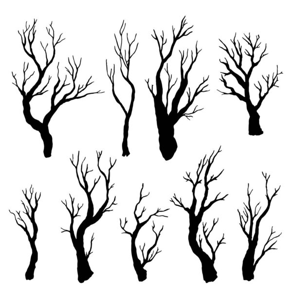 vector tree forest, large branches, ink plant sketch, hand drawing, black silhouette