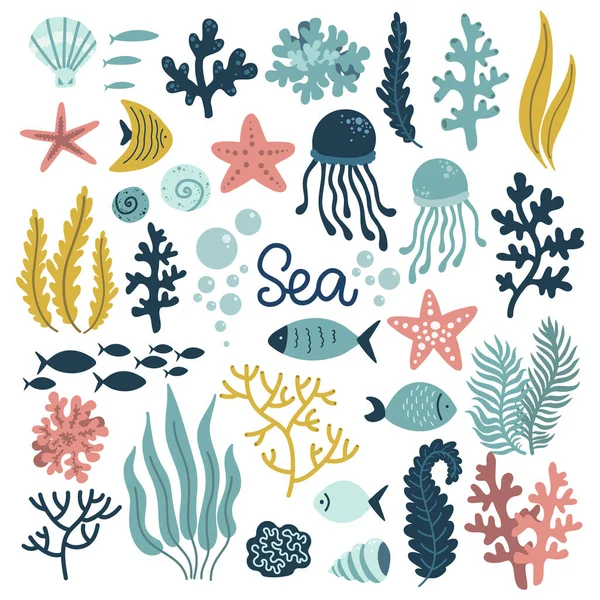 Подводный Мир Набор Элементов Морской Океан Милые Моллюски Коралловые Медузы — стоковый вектор