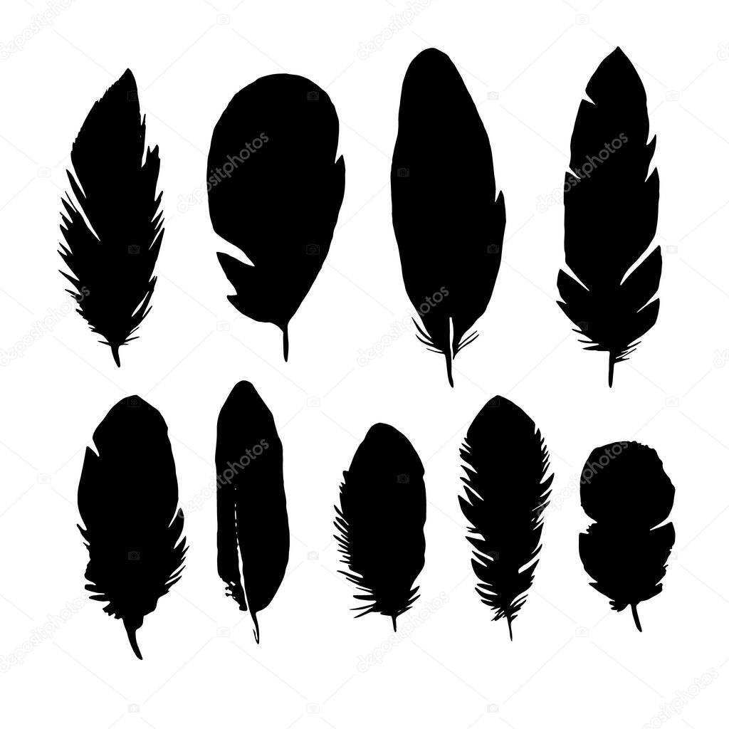 set of bird feathers vector, ink sketch, hand drawing silhouette illustration