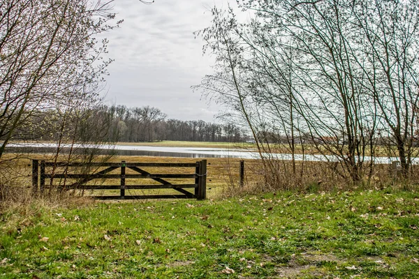 Ağaçları ve çalıları olan bir doğa alanında.