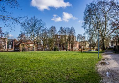 Baharın başında ya da kışın sonunda parkta çimen