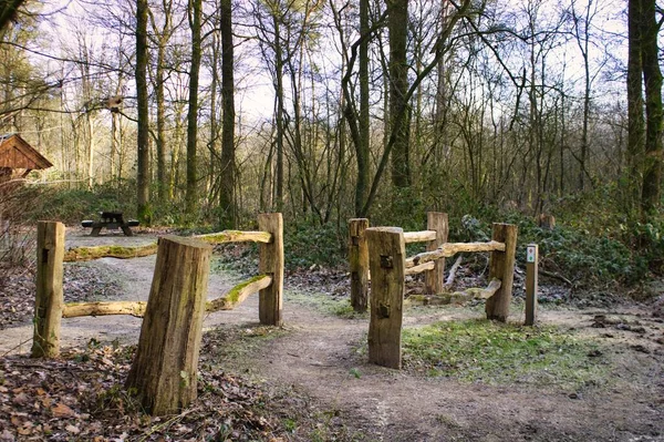 Doğa koruma alanındaki kütüklerden yapılmış doğal çitler.