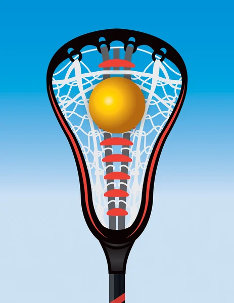 Zbliżenie Lacrosse Stick kieszeni i piłka — Wektor stockowy