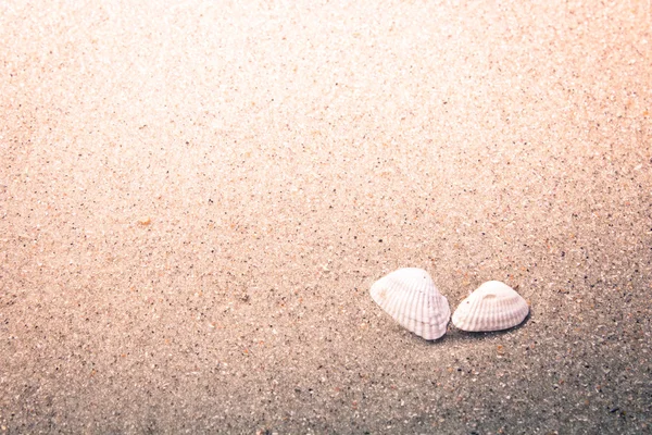 Conchiglie colorate in sabbia sulla spiaggia — Foto Stock