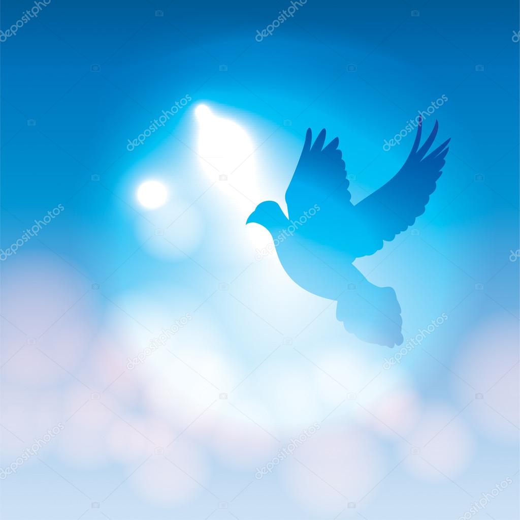 Illustrated Dove Silhouette and Soft Bokeh Lights