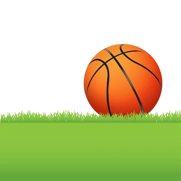 Basketball Sitting on Green Grass Illustration — Stock Vector