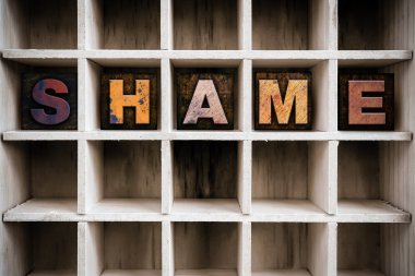 Shame Concept Wooden Letterpress Type in Drawer