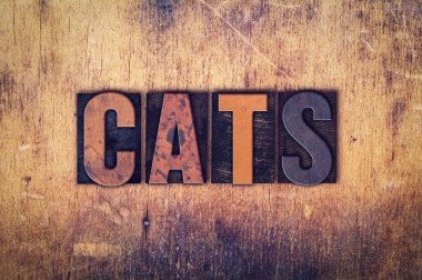 Kediler kavramı ahşap Letterpress türü