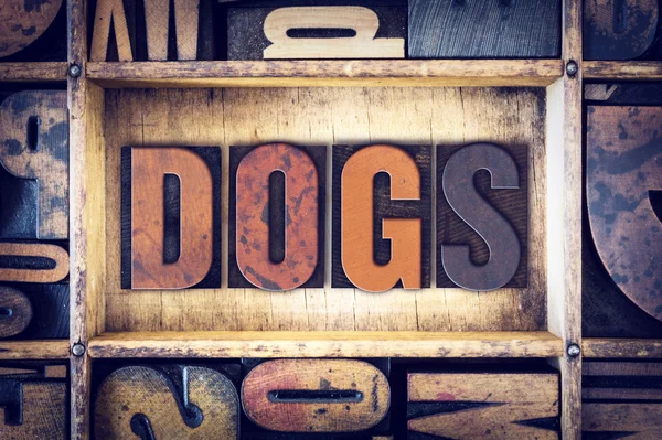 Σκυλιά έννοια Letterpress τύπου — Φωτογραφία Αρχείου