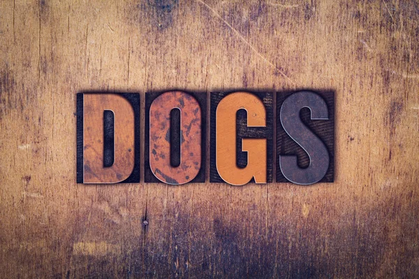 Σκυλιά έννοια ξύλινα Letterpress τύπου — Φωτογραφία Αρχείου