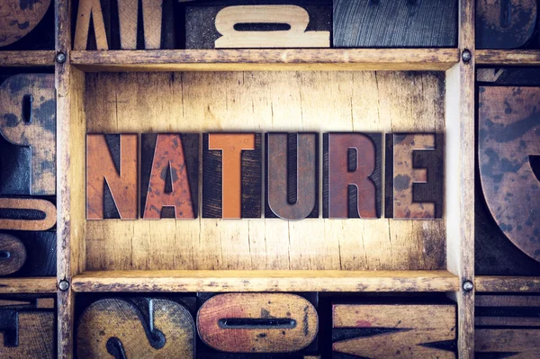 Natureza Conceito Tipo de tipografia — Fotografia de Stock