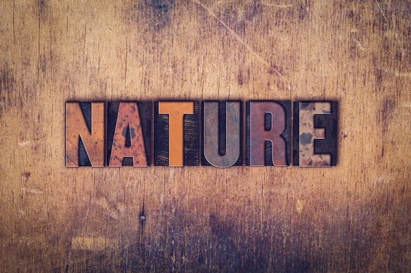 Nature Wooden Letterpress Type — стоковое фото