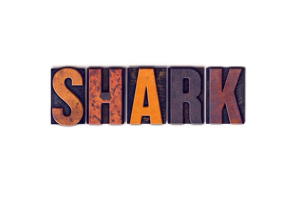 Rekin koncepcja na białym tle typ typografia — Zdjęcie stockowe
