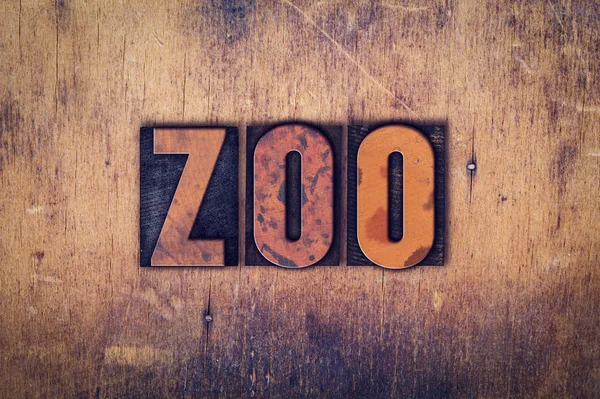 Zoo-Konzept Buchdruck aus Holz — Stockfoto