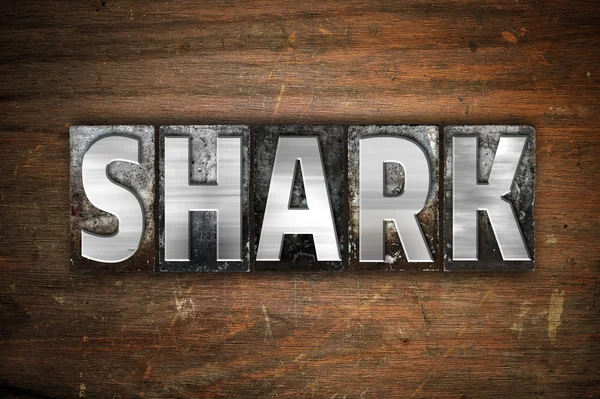 Shark Concept Metal Letterpress Type — Stock Photo, Image