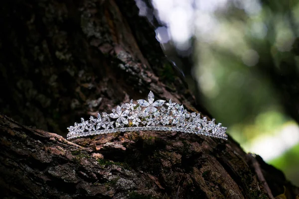 Diadema Antigua Lujo Real Accesorios Boda —  Fotos de Stock