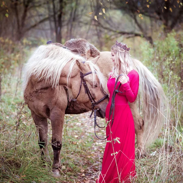 Красивая Женщина Блондинка Светло Серой Лошади Принцесса Сказке Фантастическая Осень — стоковое фото