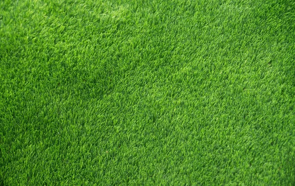 Grünes Gras Hintergrundoberfläche Teppich Hintergrund — Stockfoto