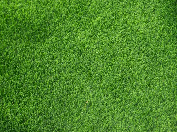 Поверхня Тла Зеленої Трави Килим Тло Тла — стокове фото