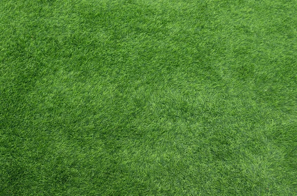 Green Grass Background Surface Carpet Backdrop — Stock Photo, Image