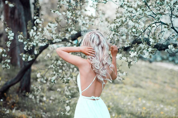 Дівчина Стоїть Нею Спині Парк Цвітіння Яблуні — стокове фото