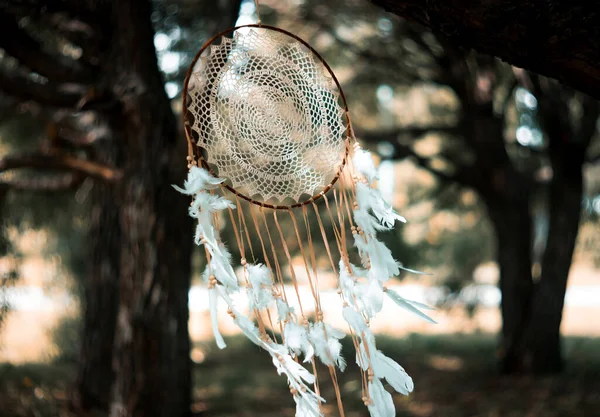 Rüya Kapanı Ruhani Geleneksel Tılsım Şaman — Stok fotoğraf