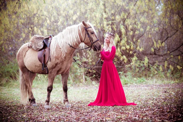 Prinses Met Paard Rode Jurk Met Paard — Stockfoto