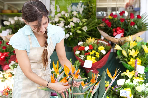 Florist woman working in her store — Stok fotoğraf
