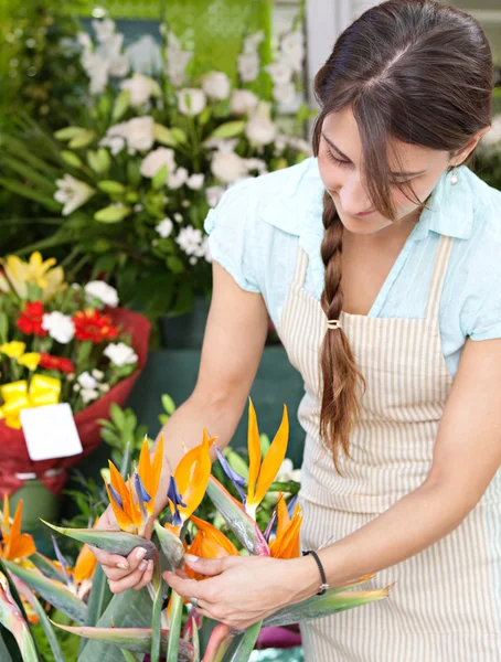 在她店里工作的花店女人 — 图库照片