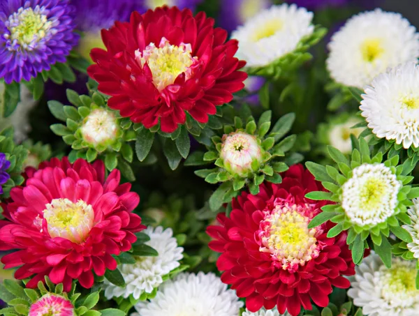 Bouquet of a different color flowers — Φωτογραφία Αρχείου