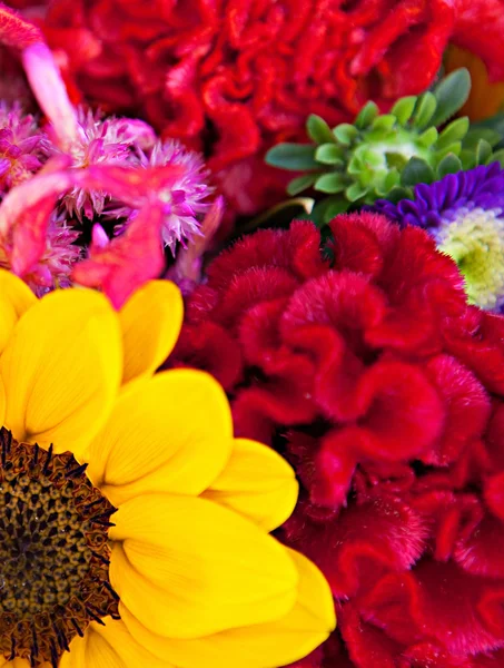 Bouquet of a different color flowers — Stock Fotó