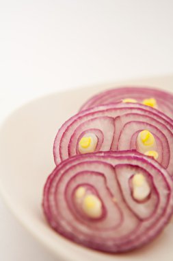 fresh red onion cut in slices