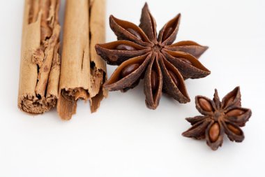 farklı şekil ve Aromalı otlar baharat baharat