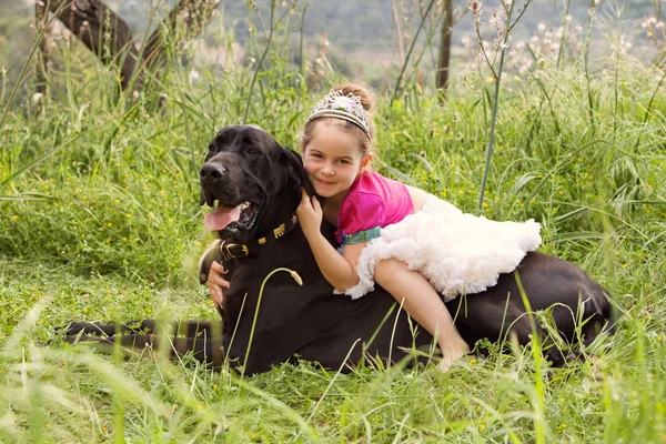 Girl sitting on her dogs in a park field — Stock Photo, Image