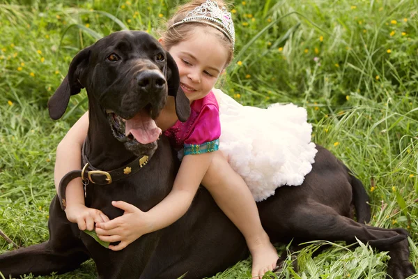 Девушка, сидящая на собаках в парке — стоковое фото