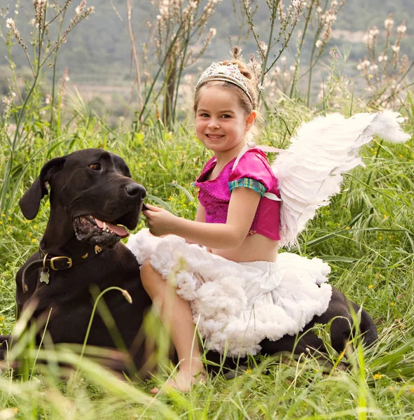 Girl sitting on her dogs in a park field — 스톡 사진