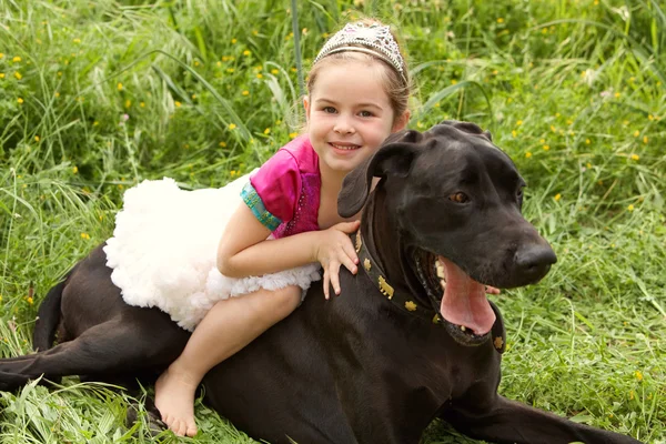 Girl sitting on her dogs in a park field — Stok fotoğraf