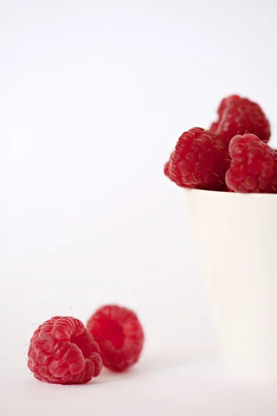 Ed raspberries in a porcelain container — Stock Photo, Image