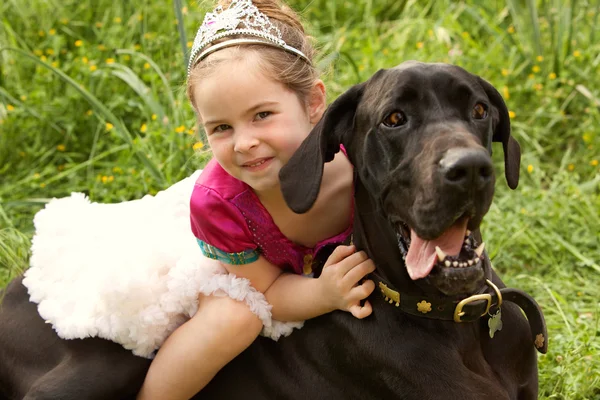 Girl sitting on her dogs in a park field — Stock Photo, Image