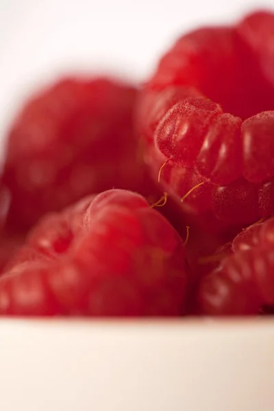 Framboises rouges nutritives et délicieuses — Photo