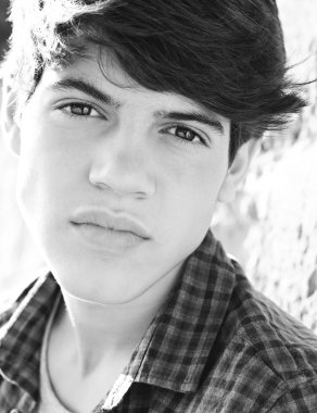 portrait of an attractive teenager student boy