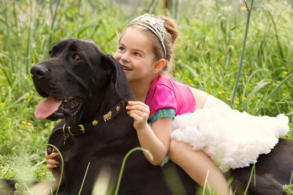 Girl sitting on her dogs in a park field — Stock fotografie